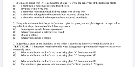 1. In tomatoes, round fruit(R) is dominant to oblong (r). Write the genotypes of the following plants. (a) a plant from a hom