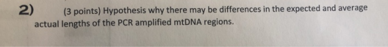 2) (3 points) Hypothesis why there may be differences in the expected and average actual lengths of the PCR amplified mtDNA r