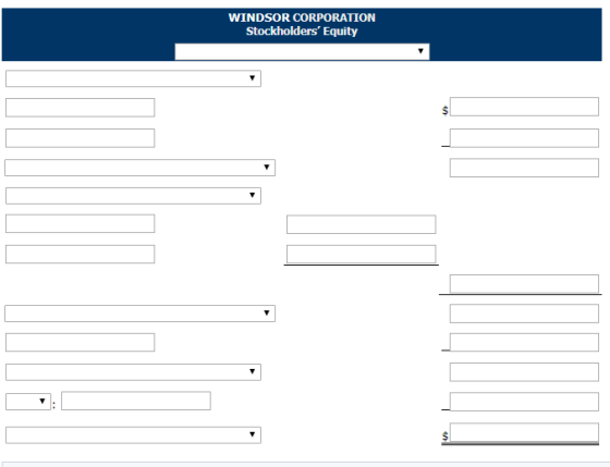 WINDSOR CORPORATION Stockholders Equity