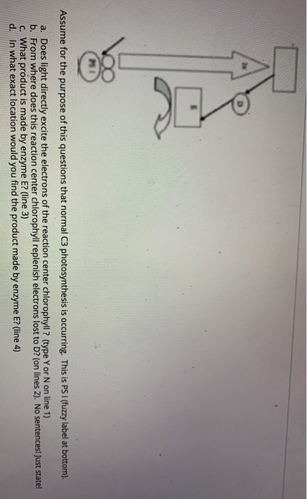 Assume for the purpose of this questions that normal C3 photosynthesis is occurring. This is PS 1 (fuzzy label at bottom). a.