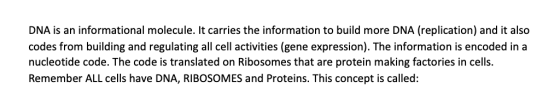 DNA is an informational molecule. It carries the information to build more DNA (replication) and it also codes from building