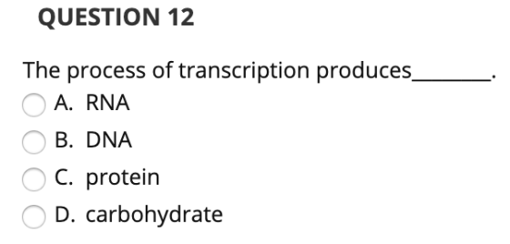 QUESTION 12 The process of transcription produces O A. RNA O B. DNA O C. protein O D. carbohydrate