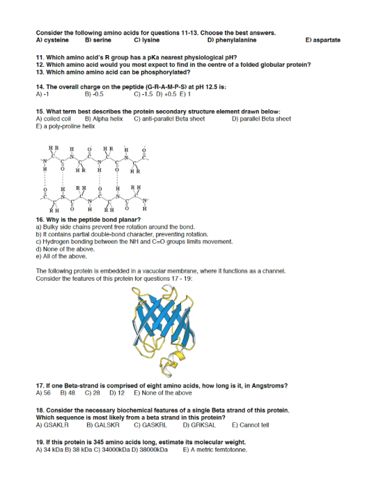 Consider the following amino acids for questions 1