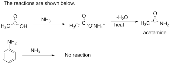 The reactions are shown below. wa bao mo.. mečom i NH3 H2C-C-OH → H3c-C-O-NH -H20 heat * Học-NH, acetamide ŅH2 NH3 No reactio