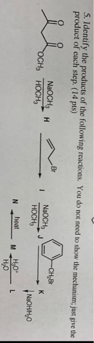 5. Identify the products of the following reactions. You do not need to show the mechanism; just give the product of each ste