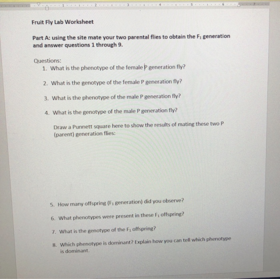 Fruit Fly Lab Worksheet Part A: using the site mate your two parental flies to obtain the Fı generation and answer questions