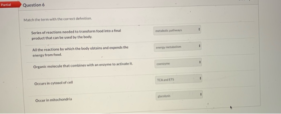 Partial Question 6 Match the term with the correct definition metabolic pathways Series of reactions needed to transform food