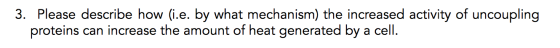 3. Please describe how (i.e. by what mechanism) the increased activity of uncoupling proteins can increase the amount of heat