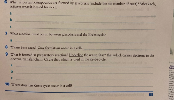 6 What important compounds are formed by glycolysis (include the net number of each)? After each, indicate what it is used fo