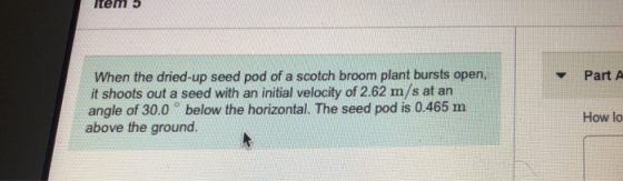 tem 5 When the dried-up seed pod of a scotch broom plant bursts open, it shoots out a seed with an initial velocity of 2.62 m/s at an angle of 30.0 below the horizontal. The seed pod is 0.465 m above the ground. Part A How lo