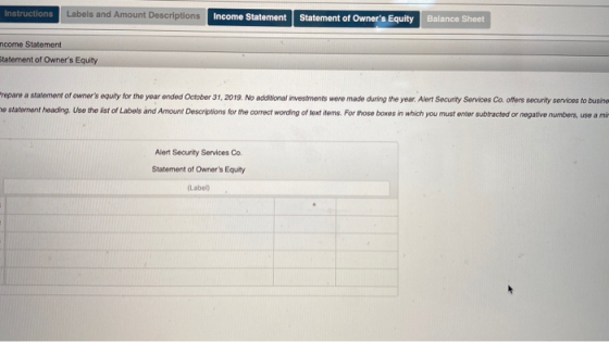 Instructions Labels and Amount Descriptions Income Statement Statement of Owners Equity Balance Sheet ncome Statement Statem