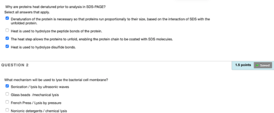 Why are proteins heat denatured prior to analysis in SDS-PAGE? Select all answers that apply. Denaturation of the protein is