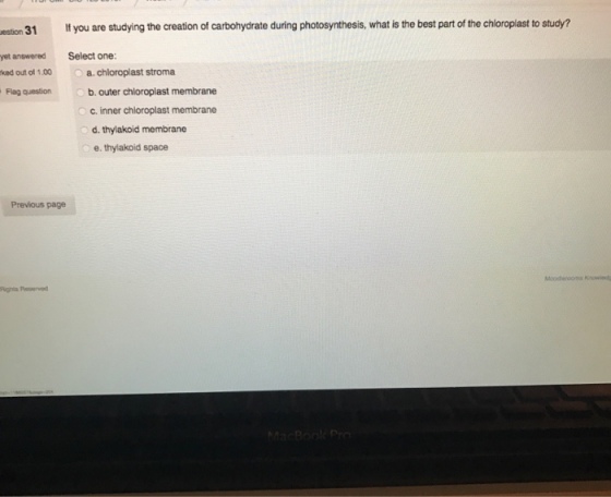 uestion 31 you are studying the creation of carbohydrate during photosynthesis, what is the best part of the chloroplast to study? yet answered Select one: ked out ot 1.00 a. chloroplast stroma b. outer chloroplast membrane Flag question c, inner chloroplast membrane d. thylakoid membrane e, thylakoid space Previous page