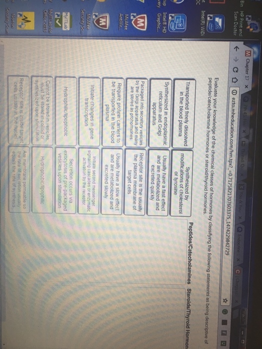 Evaluate your knowledge of the chemical classes of