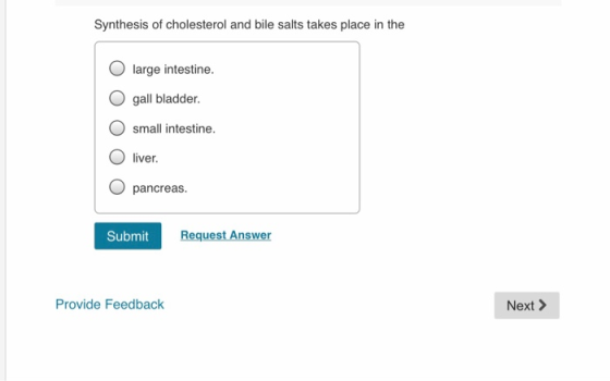Synthesis of cholesterol and bile salts takes place in the O large intestine. O gall bladder. small intestine. liver. pancrea