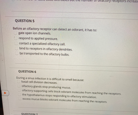 receptors increas QUESTION 5 Before an olfactory receptor can detect an odorant, it has to: gate open ion channels. respond t