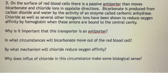 D. On the surface of red blood cells there is a passive antiporter than moves bicarbonate and chloride ions in oppòsite directions. Bicarbonate is produced from carbon dioxide and water by the activity of an enzyme called carbonic anhydrase. Chloride as well as several other inorganíc ions have been shown to reduce oxygen affinity by hemoglobin when these anions are bound to the central cavity Why is it important that this transporter is an antiporter? In what circumstances will bicarbonate move out of the red blood cell? By what mechanism will chloride reduce oxygen affinity? Why does influx of chloride in this circumstance make some biological sense?