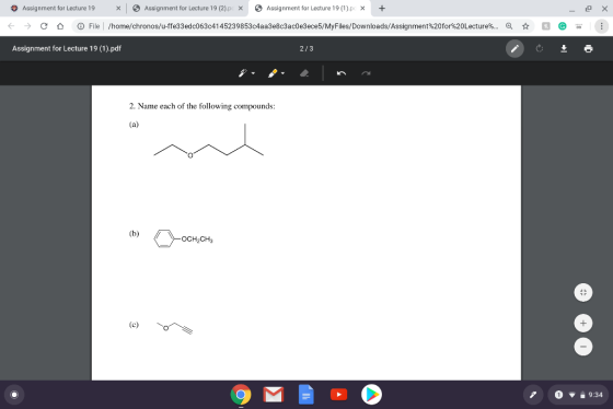 - X Assignment for Lecture 19 x Assignment for Lecture 19 (2).p Assignment for Lecture 19 (1).pc x + → C O File /home/chronos