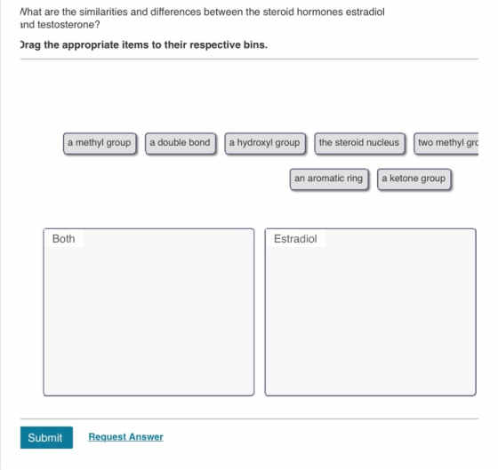 What are the similarities and differences between the steroid hormones estradiol and testosterone? Drag the appropriate items