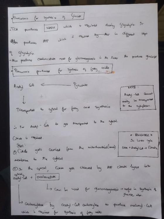 Glycolysis. different It steps Precursors for synthesis of Glucose -TCA produces INAPH) which is required during aloo produce