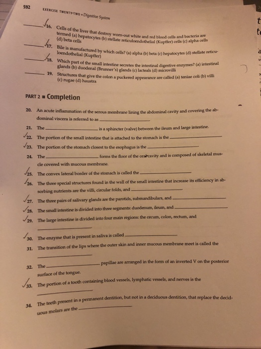 592 EXEISE TWENTYTNO Digestive Syadew hs. 16. Cells of the liver that destroy wom-out white and red blood cells (d) beta cells (a) hepatocytes (b) stellate reticuloendothelial (Kupffer) cells (c) alpha cells 17. Bile is manufactured by which oells? (a) alpha (b) beta (c) hepatocytes loendothelial (Kupffer) 8. Which part of the small intestine secretes the intestinal digestive enzymes (a glands (b) duodenal (Brunners) glands (c) lacteals (d) microvii Structures that give the colon a puckered appearance are (c) rugae (d) haustra 19. called (a) teniae coli (b) villi PART 2 Completion 20. An acute inflammation of the serous membrane lining the abdominal cavity and covering the ab- dominal viscera is referred to as 21. The 22. The portion of the small intestine that is attached to the stomach is the 23. The portion of the stomach closest to the esophagus is the 24. The. is a sphincter (valve) between the ileum and large intestine. forms the floor of the oraheavity and is composed of skeletal mus- cle covered with mucous membrane. The convex lateral border of the stomach is called the The three special structures found in the wall of the small intestine that increase its efficiency in ab- sorbing nutrients are the vili, circular folds, and 25. 26. 27. The three pairs of salivary glands are the parotids, submandibulars, and 28. The small intestine is divided into three segments: duodenum, ileum, and #x /29. The large intestine is divided into four main regions the cacum,colon, rectum, and The enzyme that is present in saliva is called The transition of the lips where the outer skin and inner 30. mucous membrane meet is called the 31. papillae are arranged in the form of an inverted V on the posterior 32. The surface of the tongue. 33. The portion of a tooth containing blood vessels, lymphatic vessels, and nerves is the dentition, but not in a deciduous dentition, that replace the decid- The teeth present in a permanent uous molars are the 34.