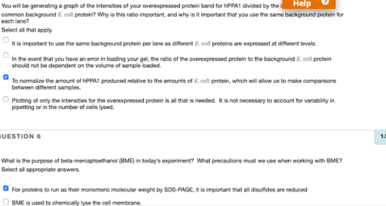 Help U You will be generating a graph of the intensities of your overexpressed protein band for hPPA1 divided by the common b