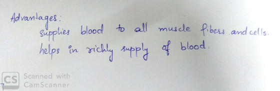 Advantages: supplies blood to call muscle fibers and cells. helps in richly supply of blood. Scanned with CamScanner