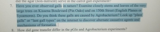 did the agar (non-nutrient) serve in the carrot gall experiment 7. Have you ever observed galls in nature? Examine closelyste