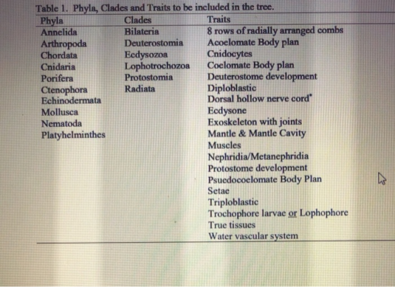 Table 1. Phyla, Clades and Traits to be included in the tree. Clades Bilateria Deuterostomia Ecdysozoa Lophotrochozoa Protost