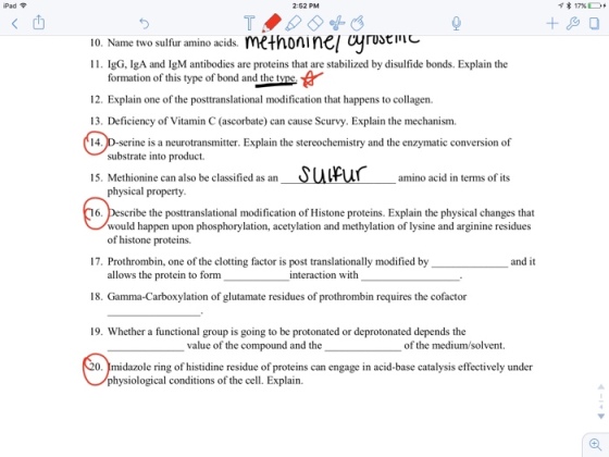 iPad令 2-52 PM * 17% D+ 10. Name two sulfur amino acids. Mkthoninej Cyruscmc 11. IgG, IgA and IgM antibodies are proteins that are stabilized by disulfide bonds. Explain the formation of this type of bond and the tvne. 12. Explain one of the posttranslational modification that happens to collagen. 13. Deficiency of Vitamin C (ascorbate) can cause Scurvy. Explain the mechanism. 14. is a neurotransmitter. Explain the stereochemistry and the enzymatic conversion of substrate into product. 15. Methionine can also be classified a ulFulamino acid in tems of its amino acid in terms of its physical property ribe the posttranslational modification of Histone proteins. Explain the physical changes that would happen upon phosphorylation, acetylation and methylation of lysine and arginine residues of histone proteins. 17. Prothrombin, one of the clotting factor is post translationally modified by 18. Gamma-Carboxylation of glutamate residues of prothrombin requires the cofactor 19. Whether a functional group is going to be protonated or deprotonated depends the 0. Imidazole ring of histidine residue of proteins can engage in acid-base catalysis effectively under and it allows the protein to form interaction with value of the compound and the of the medium/solvent physiological conditions of the cell. Explain.