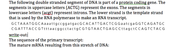 The following double stranded segment of DNA is part of a protein coding gene. The segments in uppercase letters (ACTG) repre