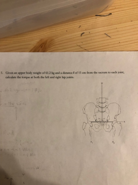 Given an upper body weight of 61.2 kg and a distance l of 15 cm from the sacrum to each joint, calculate the torque at both the left and right hip joints. 5. 15-