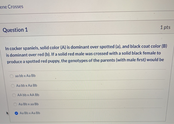 ene Crosses Question 1 1 pts In cocker spaniels, solid color (A) is dominant over spotted (a), and black coat color (B) is do