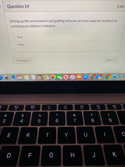 Question 14 2 pts Setting up the environment and guiding behavior are two ways for teachers to contribute to childrens initi