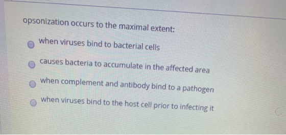 opsonization occurs to the maximal extent: when viruses bind to bacterial cells causes bacteria to accumulate in the affected