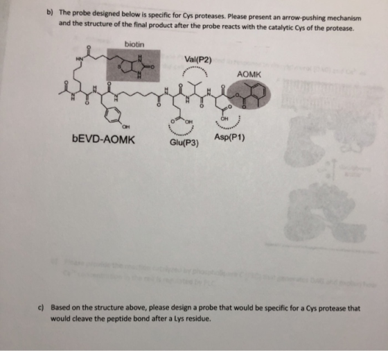 b) The probe designed below is specific for Cys proteases. Please present an arrow.pushing mechanism and the structure of the