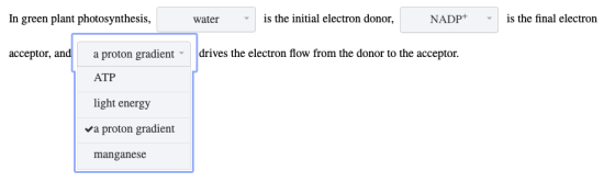 In green plant photosynthesis, water is the initial electron donor, NADP+ - is the final electron acceptor, and a proton grad