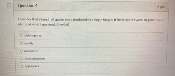 U Question 4 2 pts Consider that a bunch of spores were produced by a single fungus. If these spores were all genetically ide