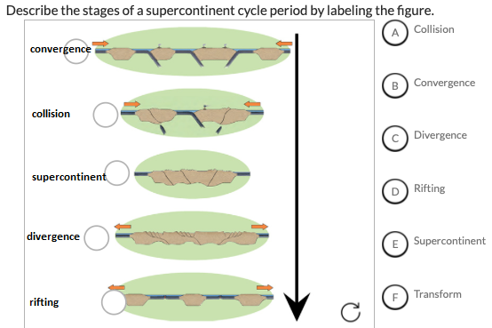 Describe the stages of a supercontinent cycle period by labeling the figure. Collision convergence collision collision O F Di
