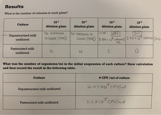 Results What is the number of colonies in each plate? 10-5 Culture 10-3 dilution plate 104 10-6 dilution plate dilution plate