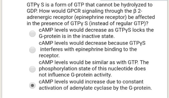 GTPY S is a form of GTP that cannot be hydrolyzed to GDP. How would GPCR signaling through the B 2- adrenergic receptor (epin