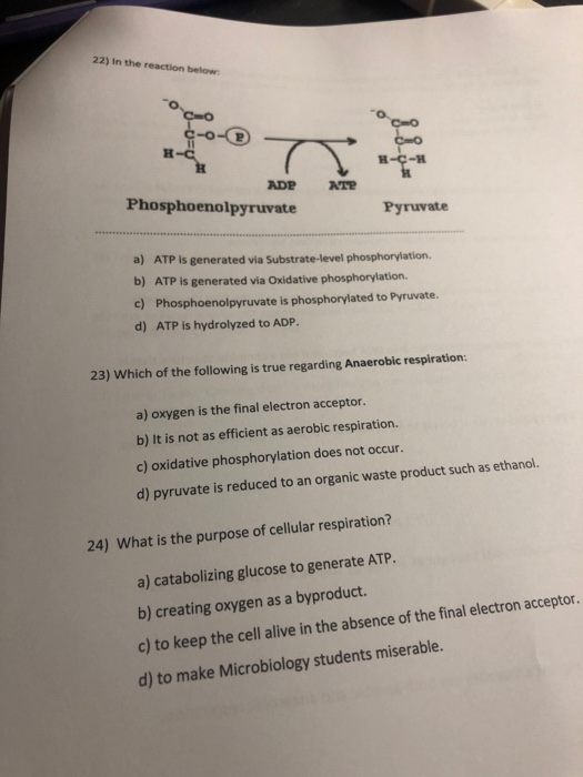 22) in the reaction below: Co C-o- H-C - - АТР ADP Phosphoenolpyruvate Pyruvate a) ATP is generated via Substrate-level phosp