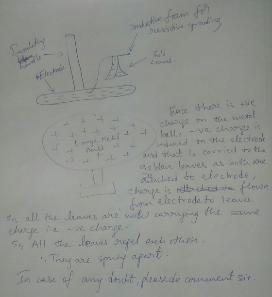 Le hold Leaves du ince there is tue change om the w o den leaves as bofta are eaves so, all ts aves ane notu change So,All The leaves g the saune hui are n case af a Str