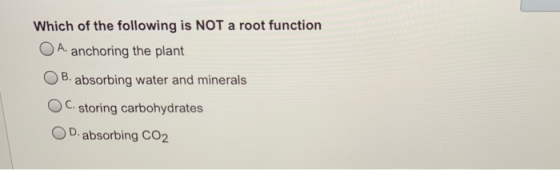 Which of the following is NOT a root function A. anchoring the plant OB. absorbing water and minerals OC. storing carbohydrat