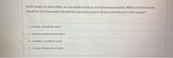 Some fungi can exist either as unicellular yeasts or as filamentous hyphae. Which of these forms would be most favorable/bene