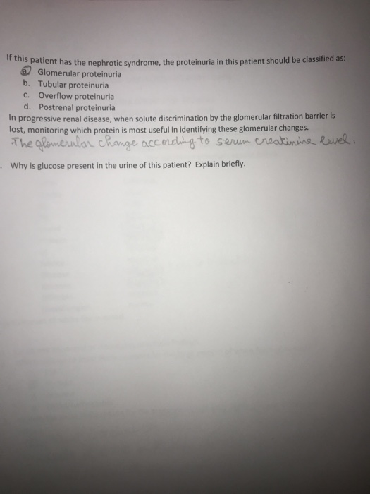 t this patient has the nephrotie syndrome, the proteinuria in ths patient should be clasified as:. Glomerular proteinuria b.