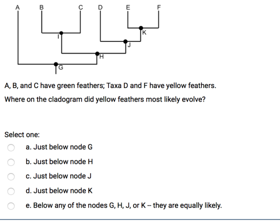 C D أما ألماز A, B, and C have green feathers; Taxa D and F have yellow feathers. Where on the cladogram did yellow feathers