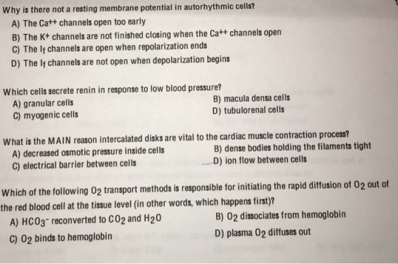 Why is there not a resting membrane potential in autorhythmic cells? A) The Cat+ channels open too early B) The Kt channels are not finished closing when the Cat+ channels open C) The lf channels are open when repolarization ends D) The lf channels are not open when depolarization begins Which cells secrete renin in response to low blood pressure? A) granular cells C) myogenic cells B) macula densa cells D) tubulorenal cells What is the MAIN reason intercalated disks are vital to the cardiac muscle contraction process? A) decreased osmotic pressure inside cells C) electrical barrier between cells B) dense bodies holding the filaments tight D) ion flow between cells Which of the following 02 transport methods is responsible for initiating the rapid diffusion of 02 out of the red blood cell at the tissue level (in other words, which happens first)? A) HC03 reconverted to C02 and H20 C) 02 binds to hemoglobin B) 02 dissociates from hemoglobin D) plasma 02 diffuses out