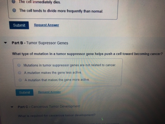 The cell immediately dies. O The cell tends to divide more frequently than normal. Submit Request Answer Part B-Tumor Supressor Genes ▼ What type of mutation in a tumor suppressor gene helps push a cell toward becoming cancer? Mutations in tumor suppressor genes are not related to cancer . A mutation makes the gene less active. A mutation that makes the gene more active Submit Part C . Cancerous Tumor Development What is required for cancerous tumor development?