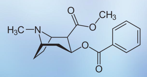 H2C-